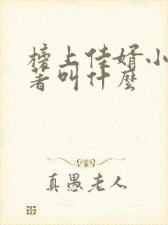 榜上佳婿小说原著叫什么封面