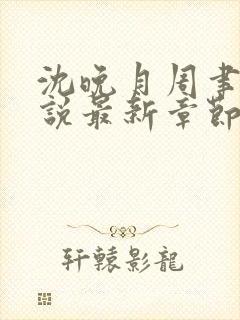 沈晚月周聿白小说最新章节更新