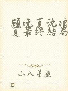 顾晚夏沈浪顾晚夏最终结局