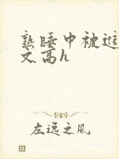 熟睡中被进了h文高h