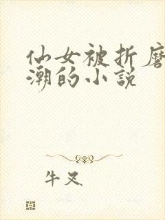 仙女被折磨到高潮的小说