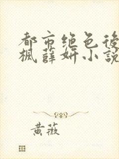 都市绝色后宫秦枫薛妍小说