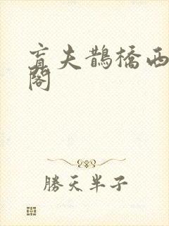 盲夫鹊桥西笔趣阁