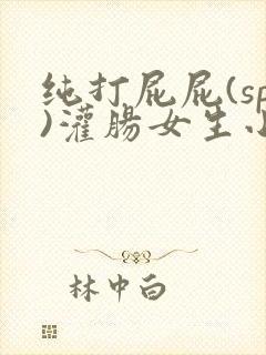 纯打屁屁(sp)灌肠女生小说封面