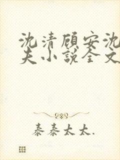 沈清顾安沈澈姐夫小说全文阅读