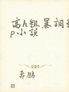 高h粗暴调教np小说