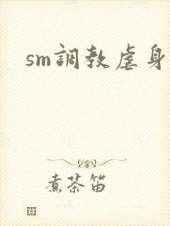 sm调教虐身文