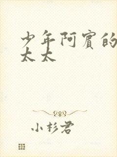 少年阿宾的房东太太