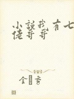 小说我有七个大佬哥哥封面