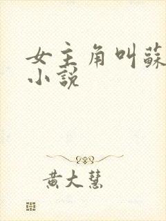 女主角叫苏挽的小说