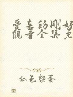 爱来的刚好在线观看全集免费播放