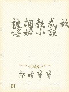 被调教成放荡小淫妇小说