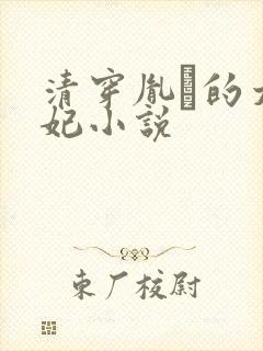 清穿胤礽的太子妃小说