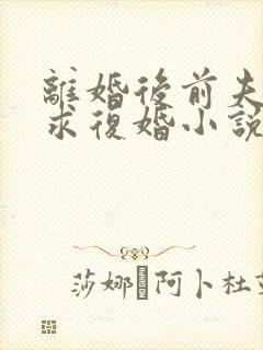 离婚后前夫哭着求复婚小说小说