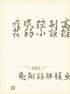 催眠控制高冷校花的小说推荐