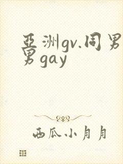亚洲gv.同男男gay
