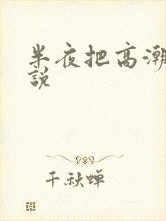 半夜把高潮了小说