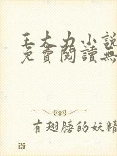 王大力小说小说免费阅读无弹窗封面