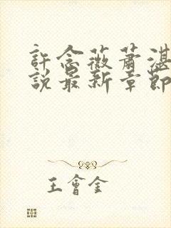 许念薇萧湛明小说最新章节免费阅读