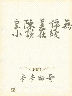 良陈美锦无删减小说在线