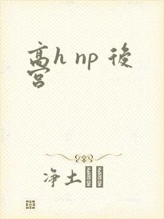 高h np 后宫