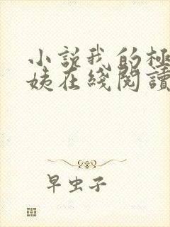 小说我的极品小姨在线阅读