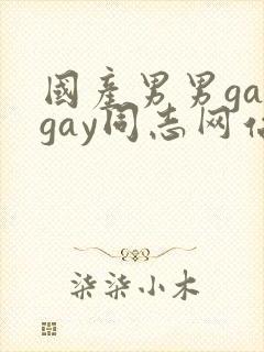 国产男男gaygay同志网站