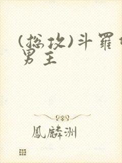 (总攻)斗罗双男主