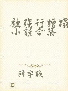 被强行糟蹋侵犯小说合集