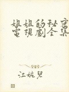 姐姐的秘密韩国电视剧全集在线观看封面