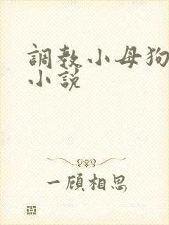调教小母狗sp小说