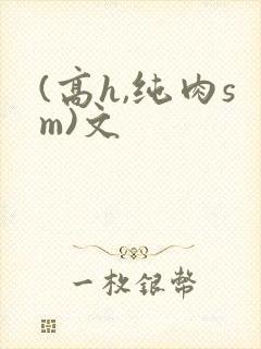 (高h,纯肉sm)文