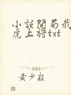 小说开局截胡五虎上将txt