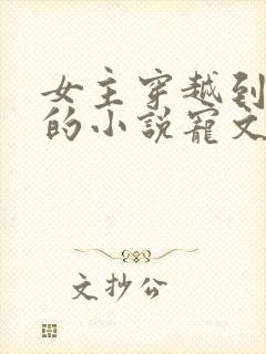 女主穿越到古代的小说宠文