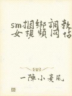 sm捆绑调教美女视频网站