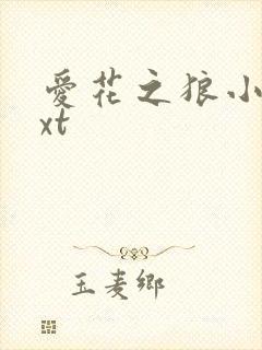 爱花之狼小说txt