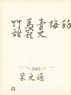 竹马青梅的小说甜宠文