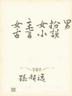 女主女扮男装的古言小说封面