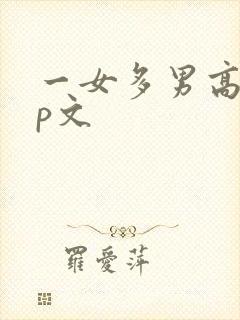 一女多男高hnp文