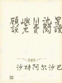 顾屿川沈星遥小说免费阅读最新章节