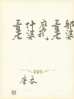 看什么看那是我老婆我老婆小说林焰沈清羡