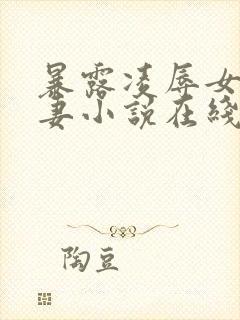 暴露凌辱女友人妻小说在线阅读封面