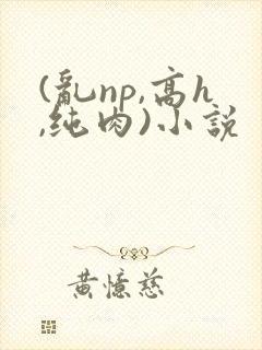 (乱np,高h,纯肉)小说封面