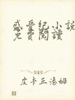 盛爱纪小说全文免费阅读