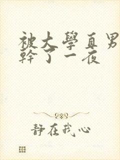 被大学直男室友干了一夜