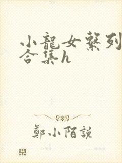小龙女系列辣文合集h
