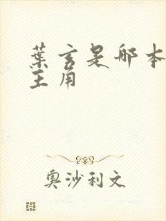 叶玄是哪本小说主角