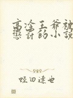 高冷王爷被下属惩罚的小说封面