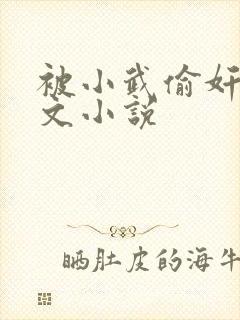 被小武偷奸了h文小说