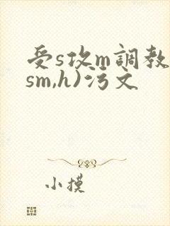受s攻m调教(sm,h)污文